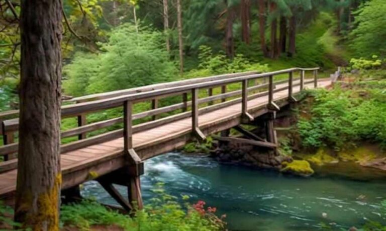 Your Guide to Exploring Kitsap County’s Scenic Trails and Parks | The ...